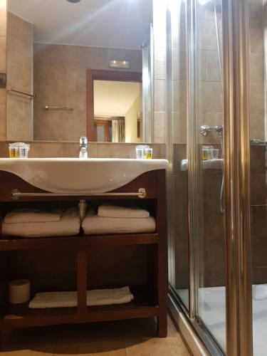 阿维拉拉斯莱耶恩达斯酒店的一间带水槽和淋浴的浴室