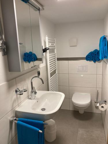 施马伦贝格奥托弗利恩沃农旅馆的浴室配有白色水槽和卫生间。