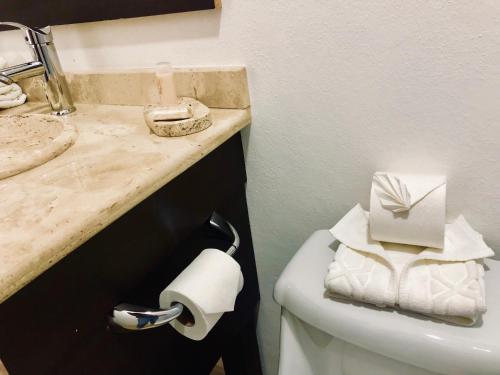 加尔潘Casa Blanca Hotel的浴室设有卫生间、水槽和卫生纸卷