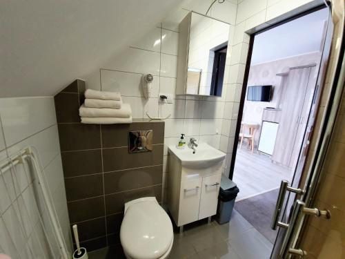 亚斯塔尔尼亚Paradise的一间带卫生间、水槽和镜子的浴室