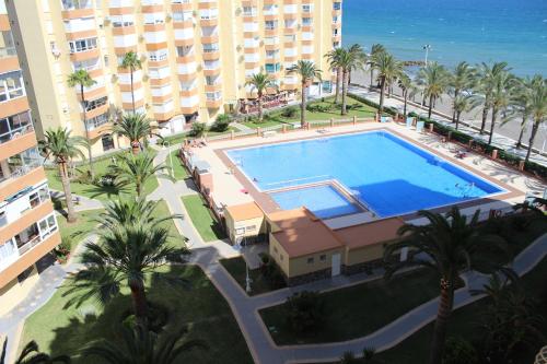 阿尔加罗沃Apartamento Centro Internacional的享有棕榈树和建筑的游泳池的顶部景致