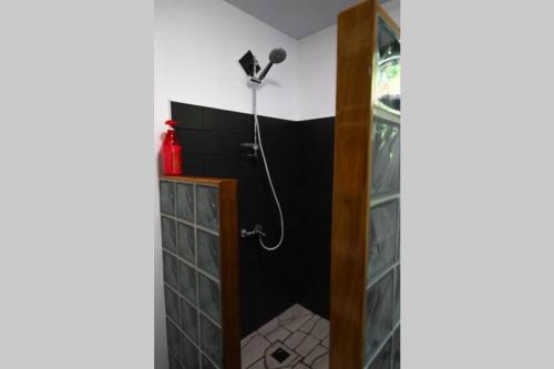 FitiiBienvenue au Mati House的带淋浴的浴室(带黑色墙壁)