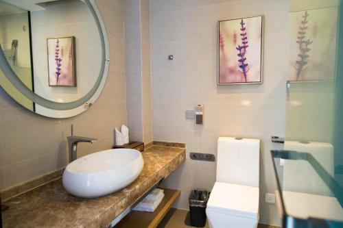 信阳Lavande Hotel Xinyang Municipal Government Branch的一间带水槽、镜子和卫生间的浴室