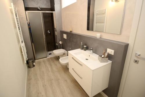 曼托瓦Residenza Bonomi 23的一间带水槽、卫生间和淋浴的浴室