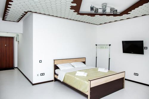 伊尔库茨克Апарт-отель ГОСТИ РУ的一间卧室配有一张床和一台平面电视