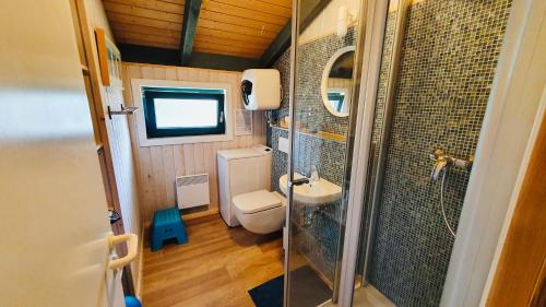 格拉尔-米里茨Ferienhaus Waal Hus的一间带卫生间和淋浴的小浴室