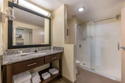 奥兰多东铭基康福特套房酒店的一间带水槽和淋浴的浴室