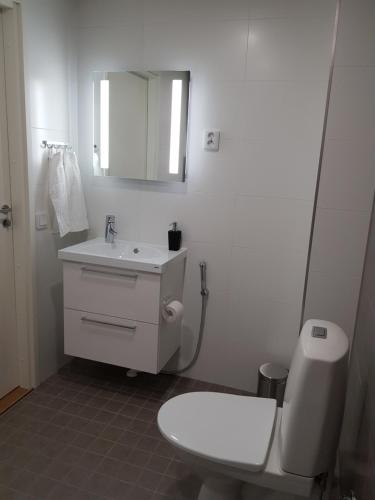 赫尔辛基New studio in West-Pasila的一间带卫生间、水槽和镜子的浴室