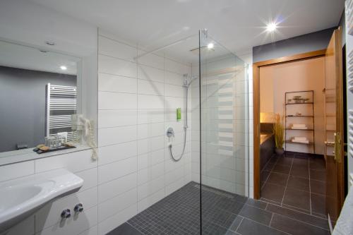 贝恩堡SL'otel im Parforcehaus的一间带玻璃淋浴和水槽的浴室