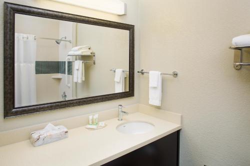 圣安吉洛圣安吉洛驻桥套房酒店的一间带水槽和镜子的浴室