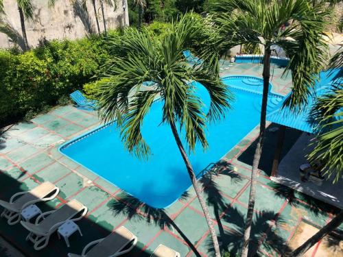 璜多里奥La Gaviota A3的一个带棕榈树和躺椅的游泳池