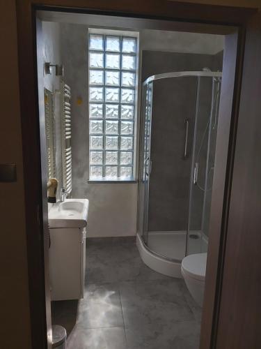 罗兹维哥酒店的带淋浴、盥洗盆和卫生间的浴室