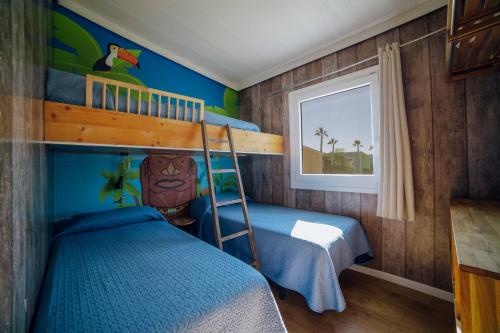 克雷维连特Alannia Costa Blanca的一间卧室设有两张双层床和一扇窗户。