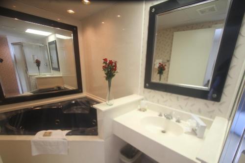 默特尔比奇浮桥海滩度假酒店的一间带水槽和镜子的浴室