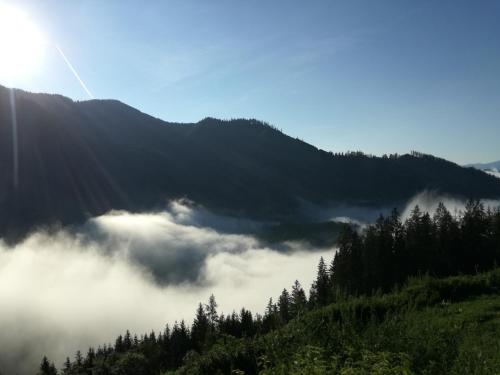 EtmisslBiohof Sattler的山谷中云云的山脉景色