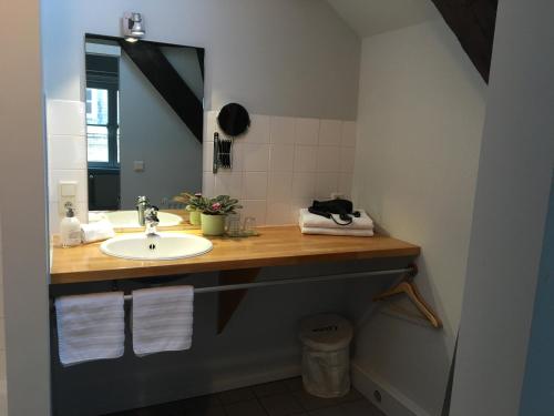 布鲁日B&B Setola的一间带水槽和镜子的浴室
