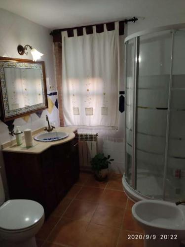 LogrosánLa Casa del Marqués的带淋浴、卫生间和盥洗盆的浴室