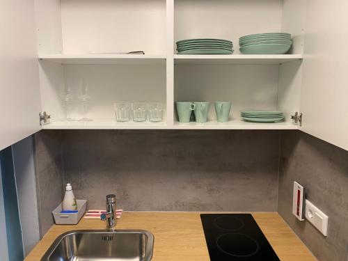 纽伦堡City Studio-Apartment am Hauptbahnhof N6的厨房配有水槽和架子