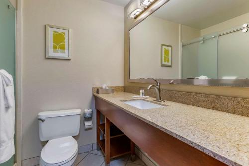 科迪布法罗比尔度假村康福特茵酒店的一间带卫生间、水槽和镜子的浴室