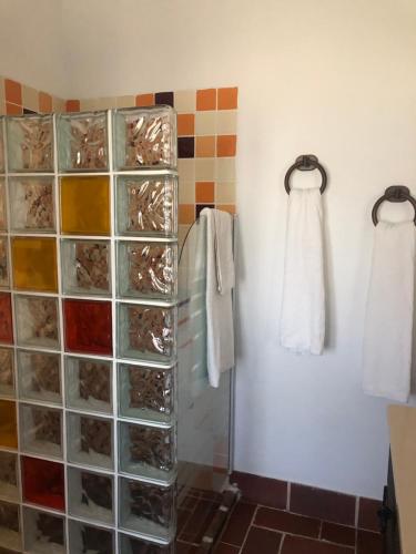 Monte do Simão VazMonte das Palmeiras的带淋浴的浴室,配有玻璃门和毛巾