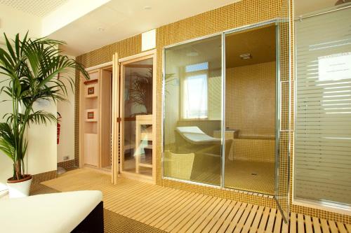 莫夏诺圣安杰洛冲刺商务酒店的植物间玻璃淋浴间