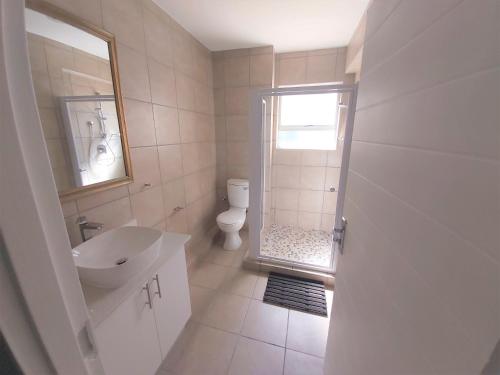 拉姆斯盖特Ramsgate Palms B的一间带水槽、卫生间和镜子的浴室