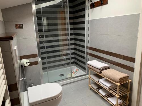 福利尼奥B&B Il Casale的一间带卫生间和玻璃淋浴间的浴室