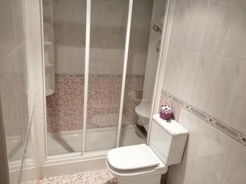 坎加斯德穆拉索Rotonda da Pedra Alta Apartamento的带淋浴和卫生间的浴室。