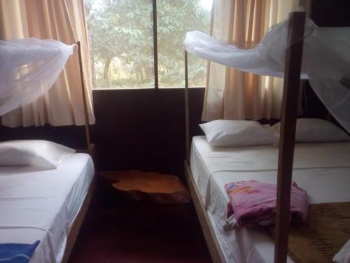 马尔多纳多港Don Jaime - Hostel的一间卧室设有两张双层床和一扇窗户。