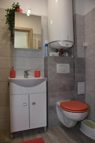 巴拉通尤洛克Menta Lak的一间带卫生间、水槽和镜子的浴室