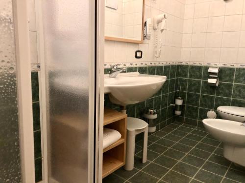 科戈洛多米纳帕尔科德罗斯泰尔维奥酒店的一间带水槽和卫生间的浴室
