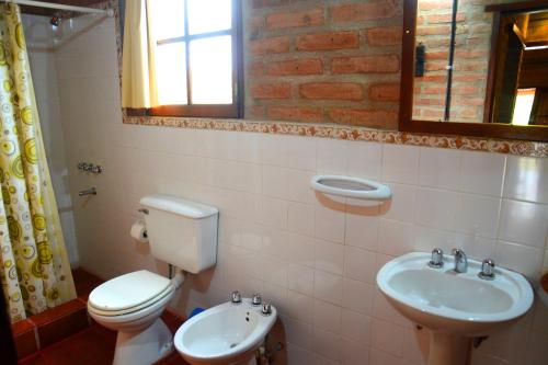 米娜克拉韦罗LA TOMA Complejo de Montaña - Cabañas y Habitaciones en Hosteria的一间带卫生间和水槽的浴室