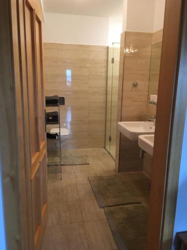 斯拉德明Landhaus Andrea的带淋浴、盥洗盆和镜子的浴室