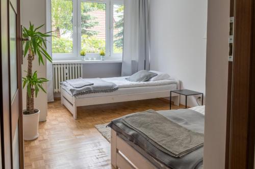 托伦Nest Comfort Toruń的一间卧室设有两张床和窗户。