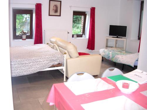 绍德方丹La Quietude的客房设有带一张床和电视的卧室。