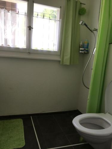HundwilAppenzellerland - Ferienhaus "Bömmeli"的一间带绿色窗户和卫生间的浴室
