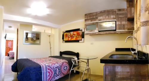 阿雷基帕太阳坦博旅馆的一间卧室配有床、水槽和水槽