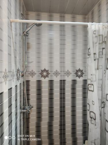 BerdavanBerdavan Guesthouse的浴室内装有雪花的浴帘