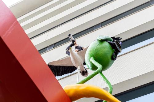 阿姆斯特丹沃克斯酒店的一只绿色的鸟挂在建筑物上