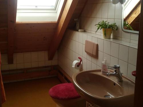 莫斯Ferienwohnung Ingeborg Schmitz的一间带水槽和窗户的浴室