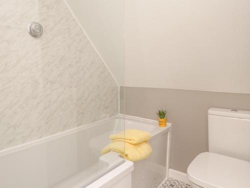 坎特伯雷Ella's Loft的浴室配有白色浴缸和卫生间。