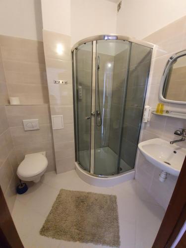 格武霍瓦济Hotel Sudety的带淋浴、卫生间和盥洗盆的浴室