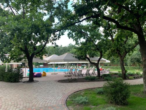 OrlovshchinaАпартаменты в лесу的一个带游泳池和桌子及树木的公园