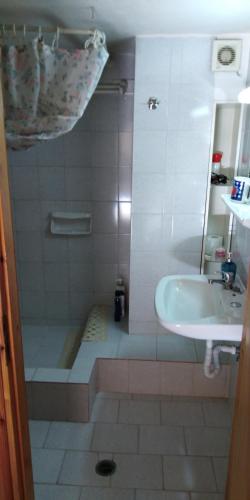 阿拉霍瓦Country Style Room at the Center of Arachova的带淋浴、盥洗盆和浴缸的浴室