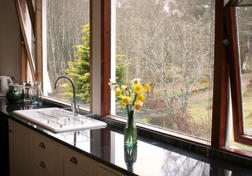 阿维莫尔Cairngorm Lodge Rothiemurchus的花瓶坐在窗边的柜台上
