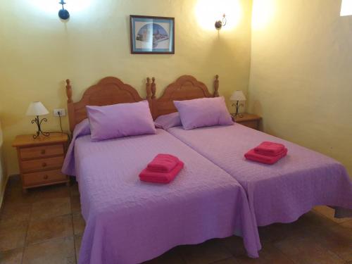 EchedoCasa Rural Domingo Pio的一间卧室配有一张紫色床和两张红色毛巾