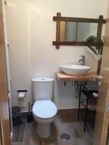 阿尔凡德加达菲Lambisco- Alojamento local的一间带卫生间和水槽的浴室