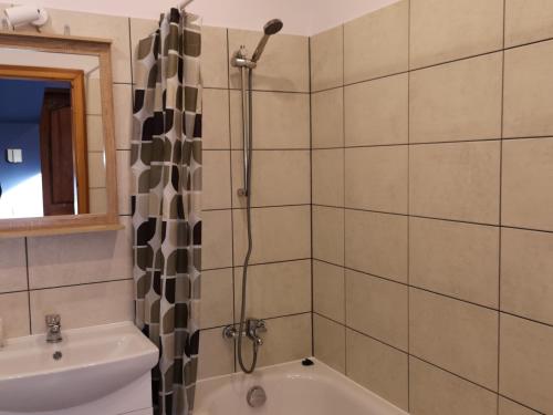 考纳斯Park apartment的带淋浴、浴缸和盥洗盆的浴室