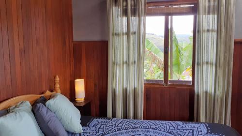 奥罗西Montaña Linda Guest House Orosi的一间卧室设有一张床和一个美景窗户。