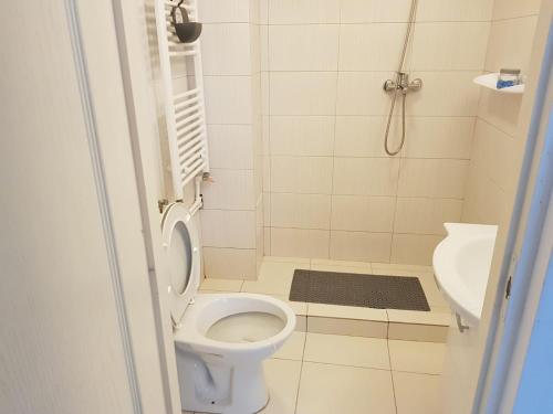 特尔古穆列什Apartament 1 Central的一间带卫生间和水槽的小浴室